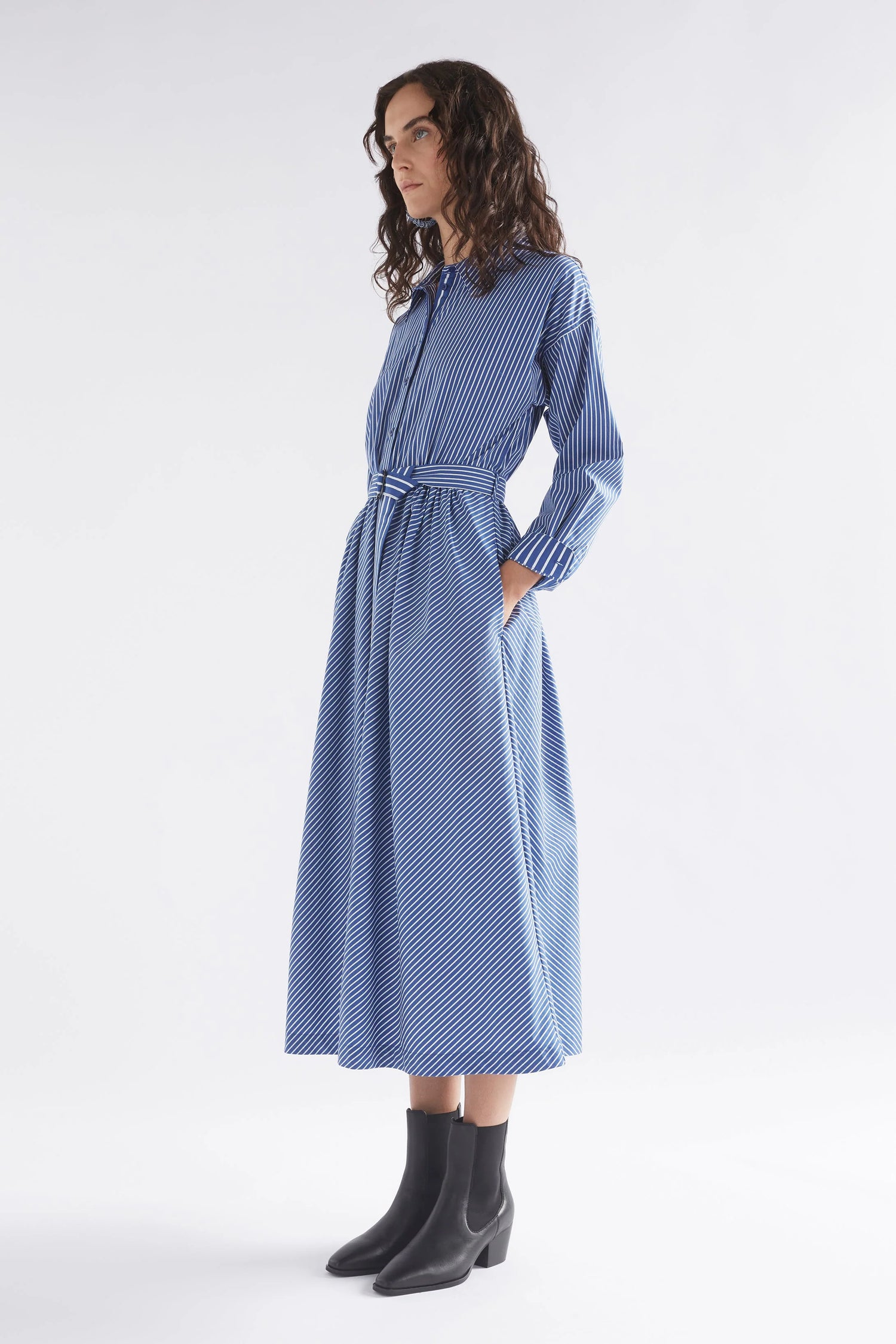 Elk Ligne Stripe Dress