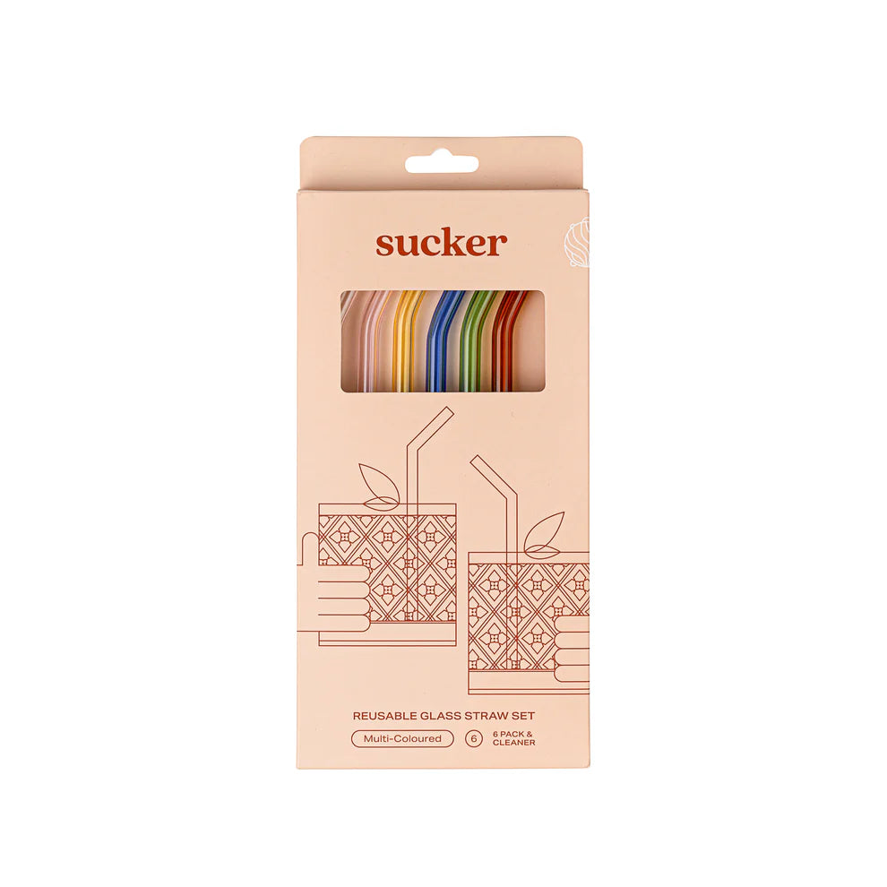 Sucker Reusable Glass Drinking Straws - Multi Coloured