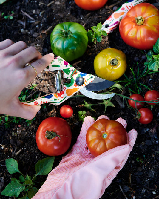 Kip & Co x Stephanie Alexander Stephanie's Harvest Garden Secateurs and Gloves Set